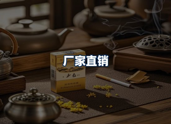 专业团队办公环境